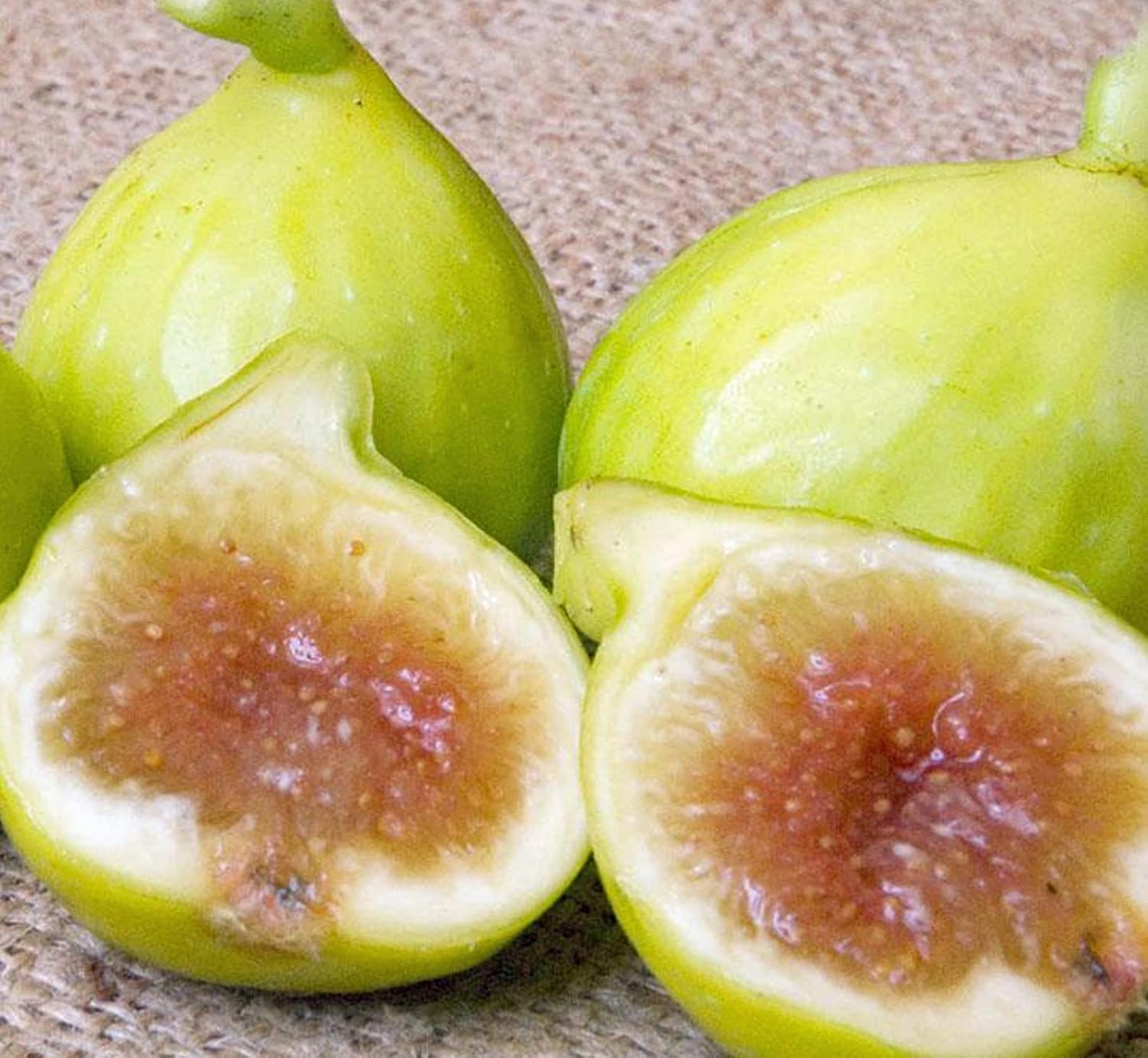Kadota fig Ficus carica seeds for backyard garden